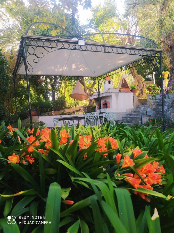 Pergolato Junior Apartment ซานเรโม ภายนอก รูปภาพ